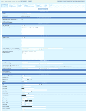 UFO Sighting Report Form