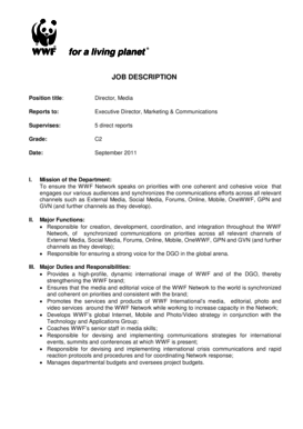 Director Media Job Description