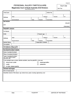 Personal Injury Particulars Form 22