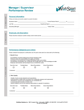 WorkSmart Systems Performance Review Form