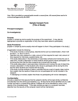 Research Ethics Board Consent Form