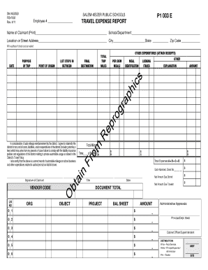 Travel Expense Report