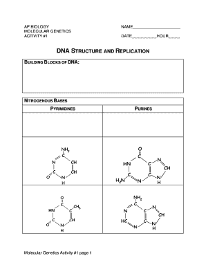 AP Biology Molecular Genetics Activity