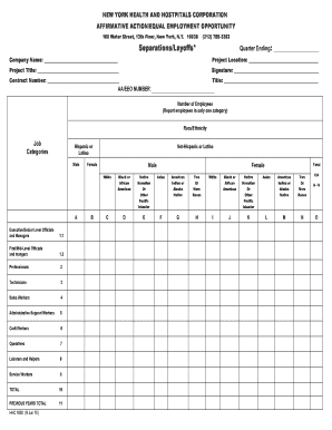 New York Affirmative Action Equal Employment Opportunity Form