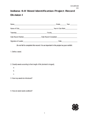 Form preview picture