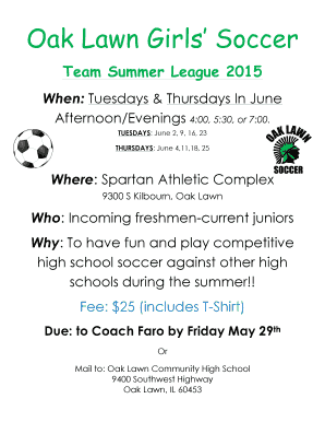 Cheer award ideas - Oak Lawn Girls summer league flyer 2015