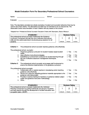 Professional School Counselor Evaluation Form