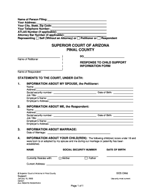 Arizona Response to Child Support Information Form