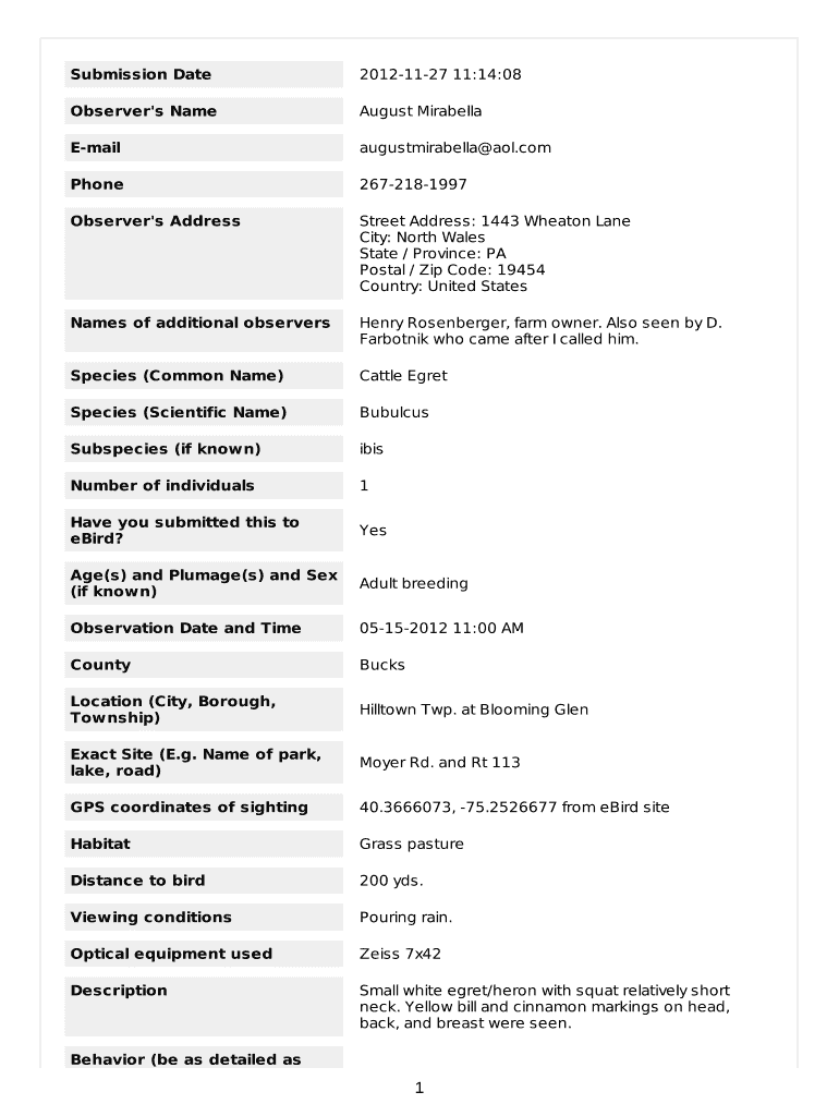 Form preview