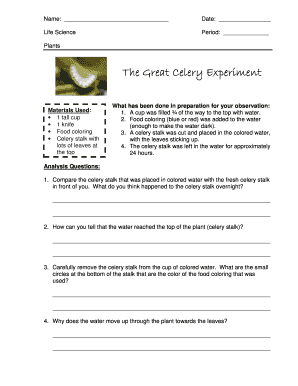 The Great Celery Experiment Worksheet