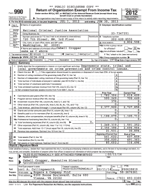 IRS Form 990 2012