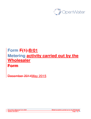 Metering Activity Request Form