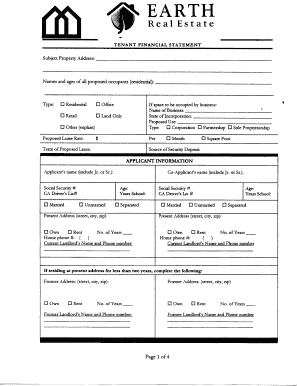 Tenant Financial Statement