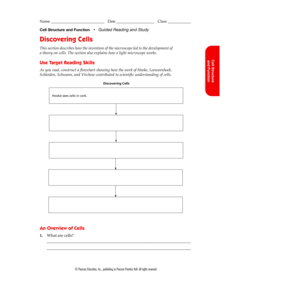 Cell Structure and Function Worksheet