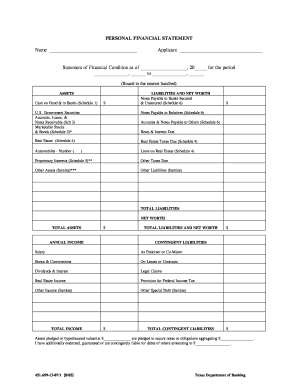 Texas Personal Financial Statement