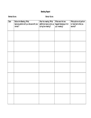 Mentorship Meeting Report Form