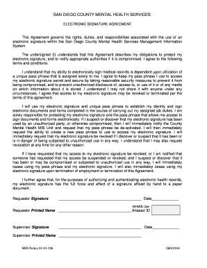 San Diego County Mental Health Electronic Signature Agreement