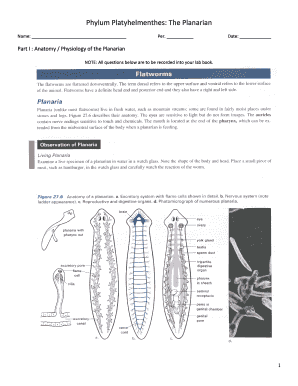 Planarian Lab Worksheet