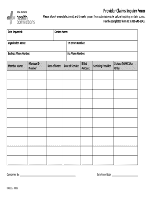 Provider Claims Inquiry Form