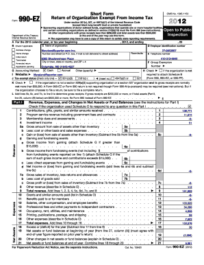 Form 990-EZ Tax Return for Exempt Organizations