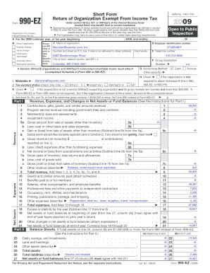 Form 990-EZ Tax Return
