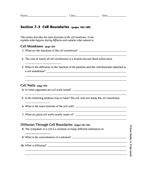 Cell Boundaries Worksheet