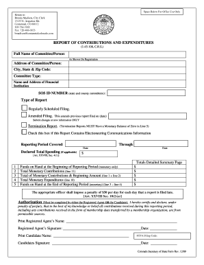 Colorado Report of Contributions and Expenditures