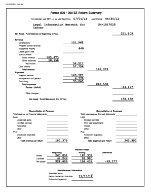 IRS Form 990-EZ Return Summary