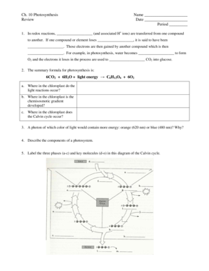 Photosynthesis Worksheet