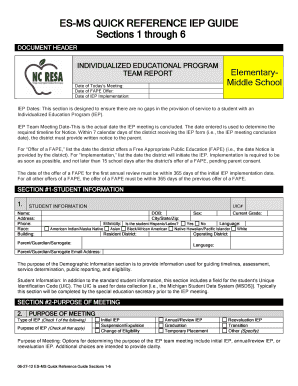 Individualized Education Program (IEP) Team Report