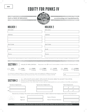 Equity for Punks IV Application Form