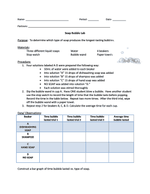 Soap Bubble Lab Form