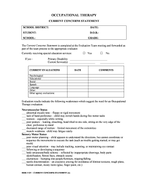 Occupational Therapy Current Concerns Statement