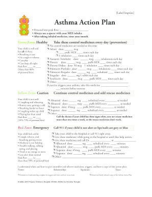 Asthma Action Plan Form