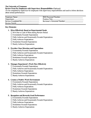 University of Tennessee Employee Review Form