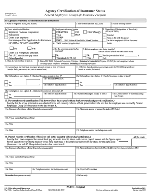Agency Certification of Insurance Status