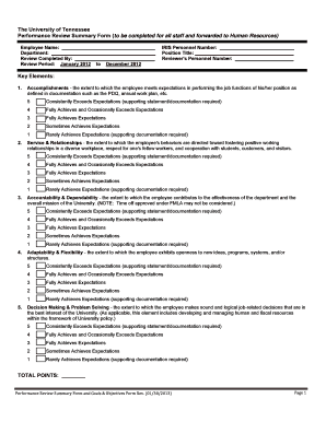 University of Tennessee Performance Review Summary Form