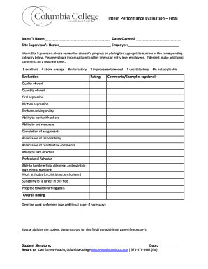 Intern Performance Evaluation Form