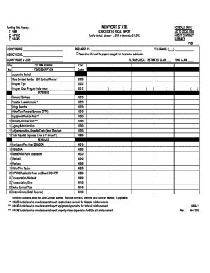 New York State DMH-2 Consolidated Fiscal Report