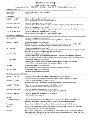 Professional Resume Template