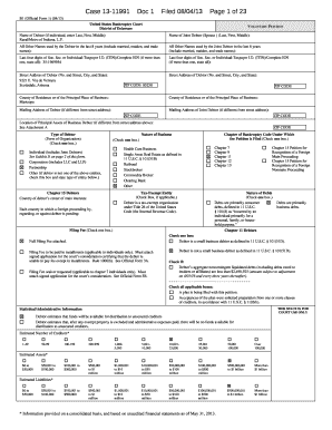 Voluntary Bankruptcy Petition Form 1
