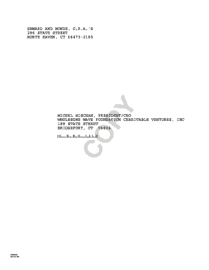IRS Form 990 2009