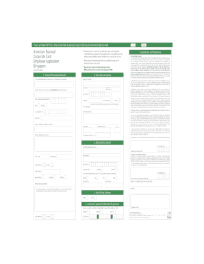 American Express Corporate Card Application