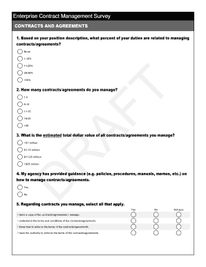 EXECUTIVE SUMMARY - bintegrityfloridaorgb