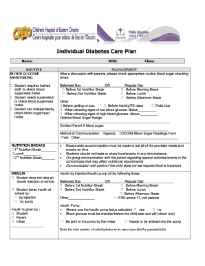 Individual Diabetes Care Plan