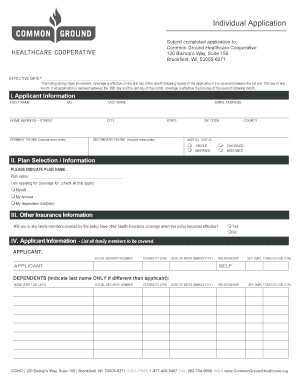 Individual Health Insurance Application