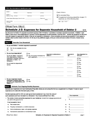 US Bankruptcy Court Form 106J-2