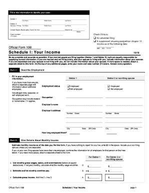 US Bankruptcy Court Income Form