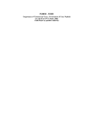 Uttar Pradesh VAT Audit Report Form XXIII