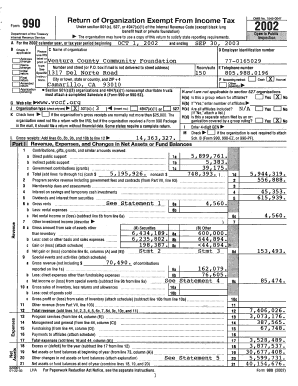 Form 990 2002